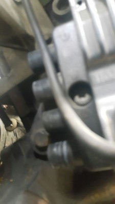 WhatsApp Image 2017-01-04 at 00.53.41 (2).jpeg