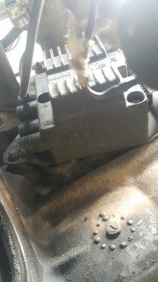 WhatsApp Image 2017-01-04 at 00.53.41.jpeg