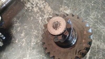 IMG_20170704_101050717.jpg