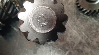 IMG_20170704_101054951.jpg