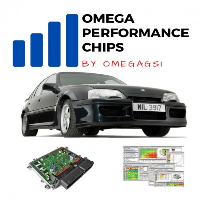 Omega chips 2.jpg