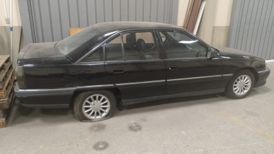 CD96